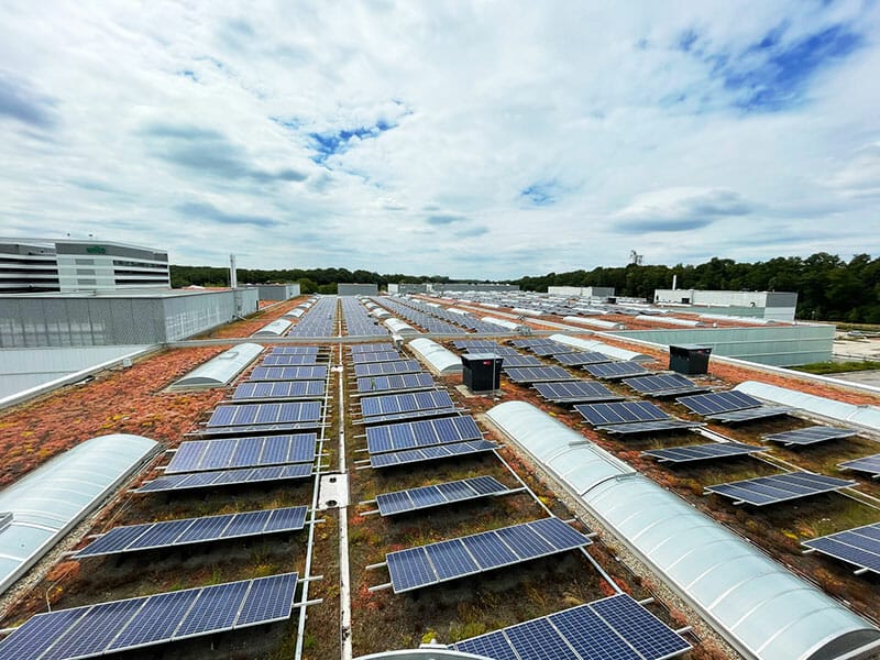 Flachdach Industriegebäude mit Photovoltaikanlage und PV-Unterkonstruktion mit Extensivbegrünung